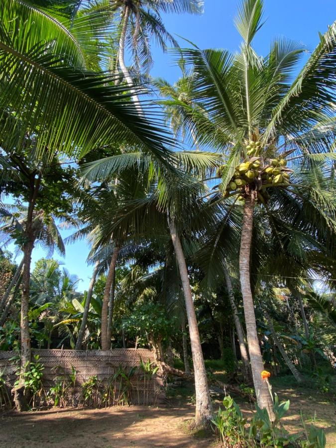 Mango Villa Hikkaduwa Exterior photo